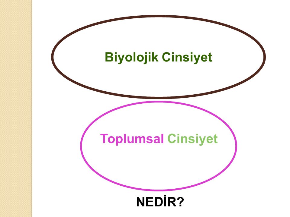 TOPLUMSAL CİNSİYET. - Ppt Indir