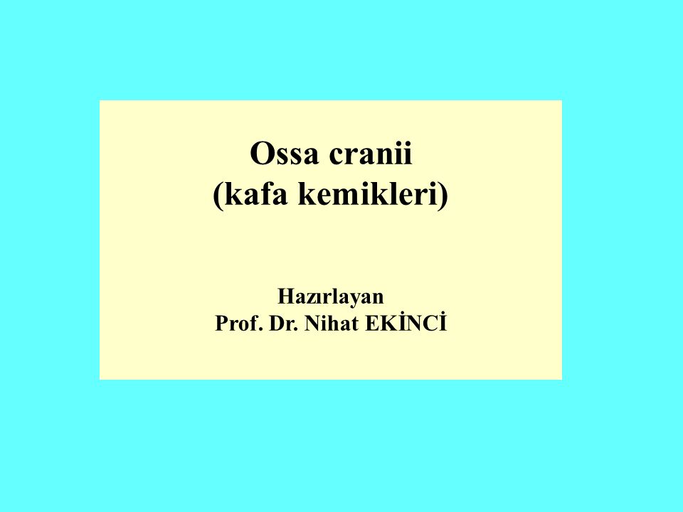 Ossa cranii (kafa kemikleri) Hazırlayan Prof. Dr. Nihat EKİNCİ
