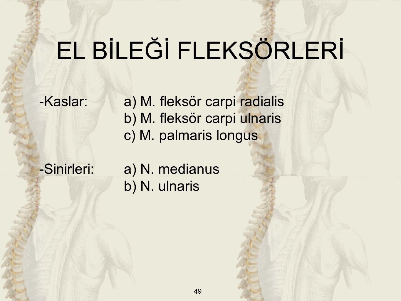 EL BİLEĞİ FLEKSÖRLERİ -Kaslar: a) M. fleksör carpi radialis