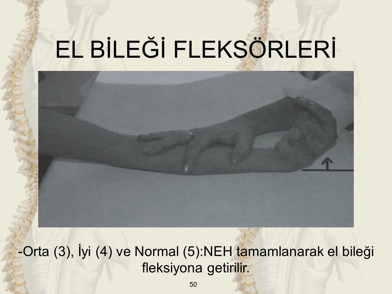 EL BİLEĞİ FLEKSÖRLERİ -Orta (3), İyi (4) ve Normal (5):NEH tamamlanarak el bileği fleksiyona getirilir.