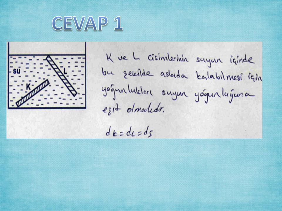 CEVAP 1