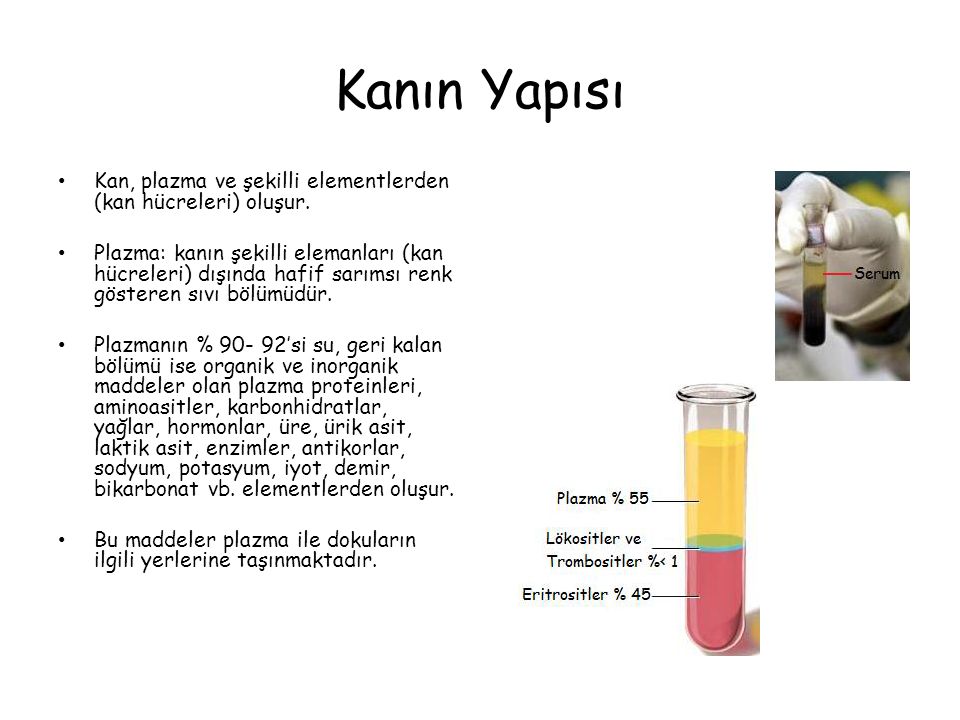 Amdan Kan Çıkartma