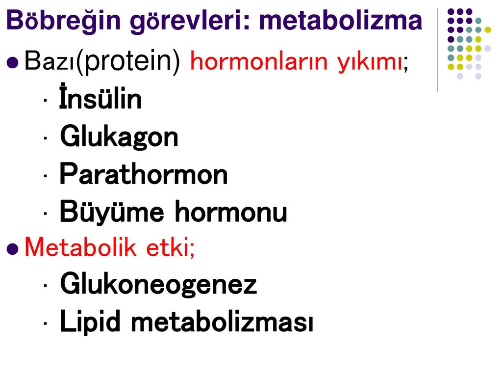 İnsülin Glukagon Parathormon Büyüme hormonu Glukoneogenez