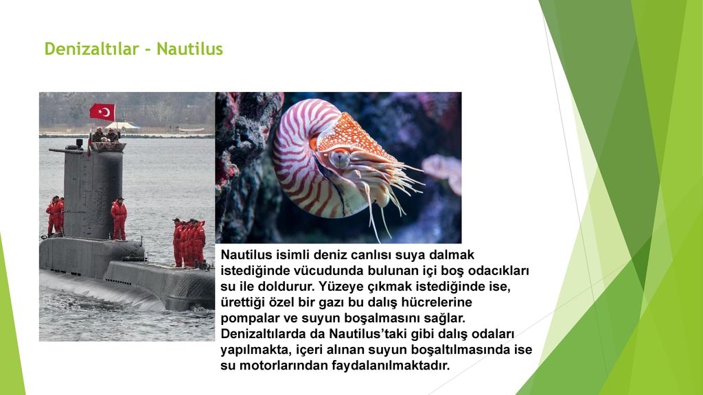 Denizaltılar - Nautilus