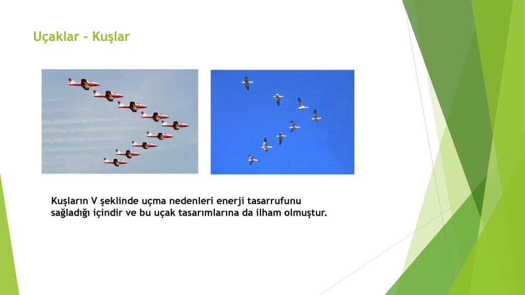 Uçaklar - Kuşlar Kuşların V şeklinde uçma nedenleri enerji tasarrufunu sağladığı içindir ve bu uçak tasarımlarına da ilham olmuştur.