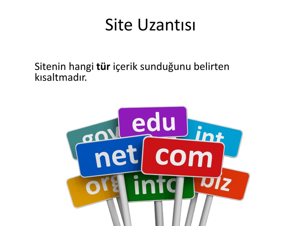 Edu net