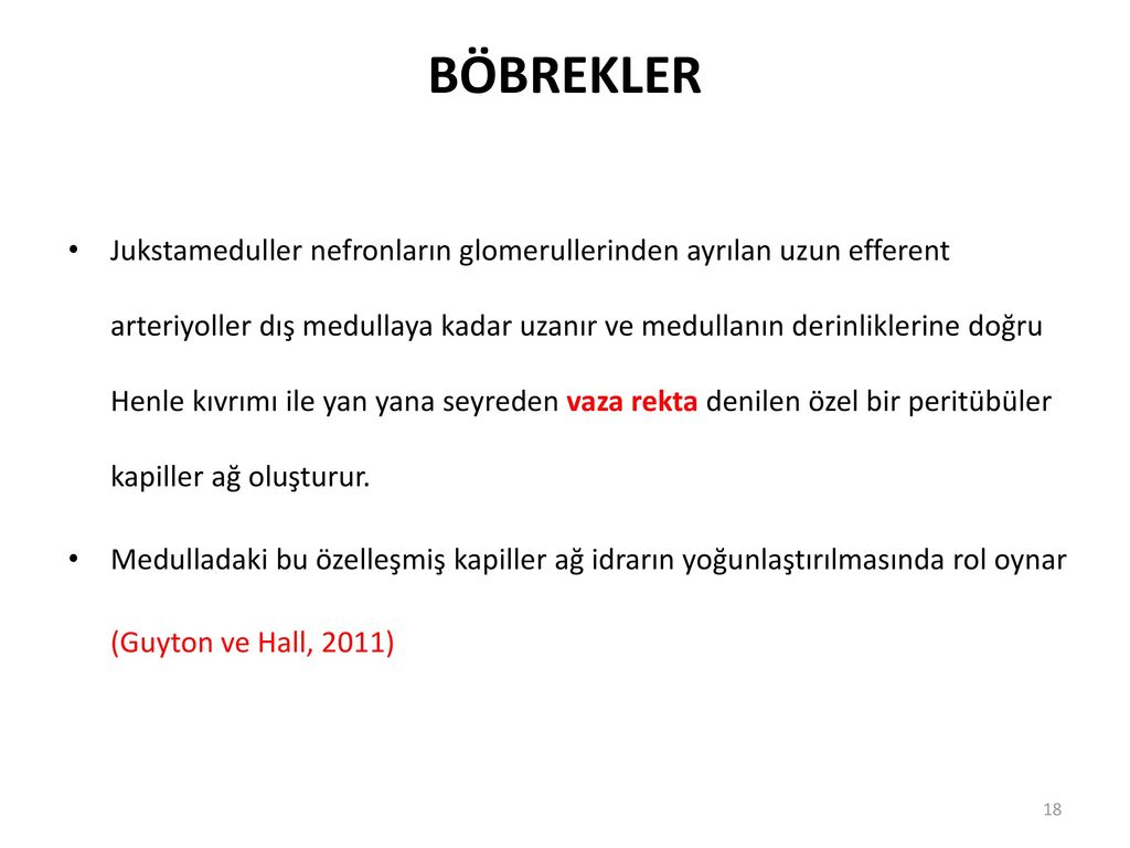 Uriner Sistem Ve Hemsirelik Bakimi Ppt Indir