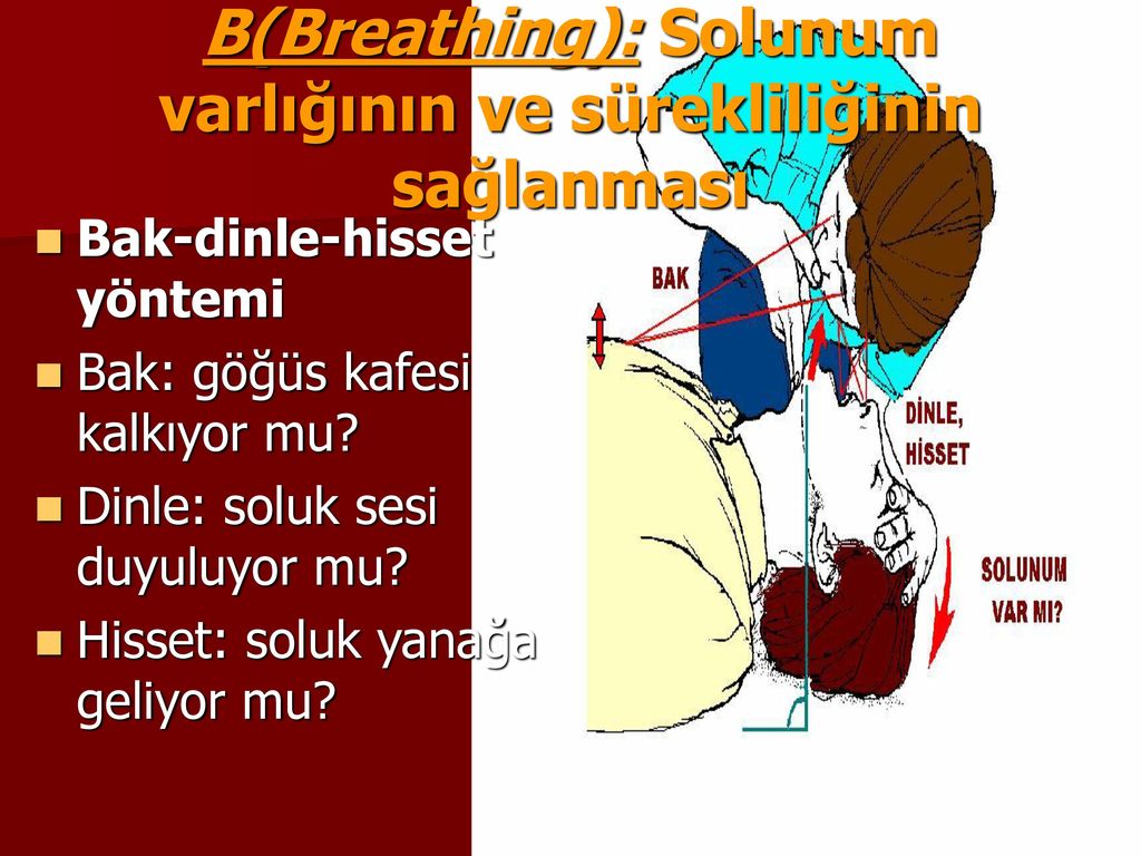 B(Breathing): Solunum varlığının ve sürekliliğinin sağlanması