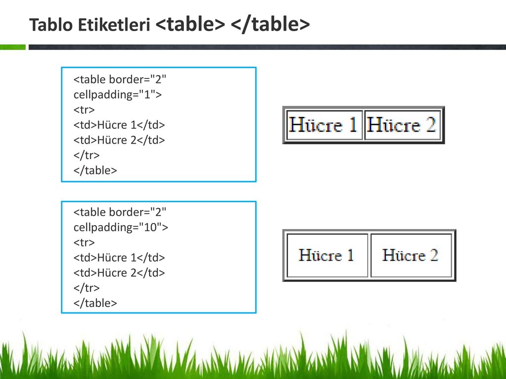 Cellspacing 0 tr td width. Cellpadding в html. Html Table border. Tr td html. Cellpadding.