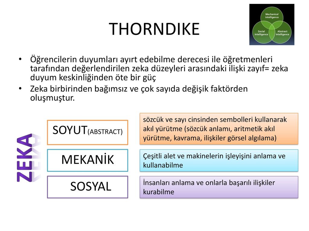 Социальный интеллект торндайк