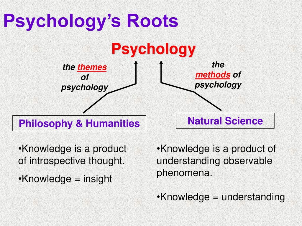 Natural science and humanities