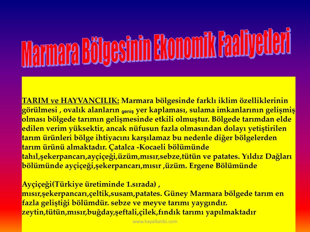 Marmara Bölgesinin Ekonomik Faaliyetleri