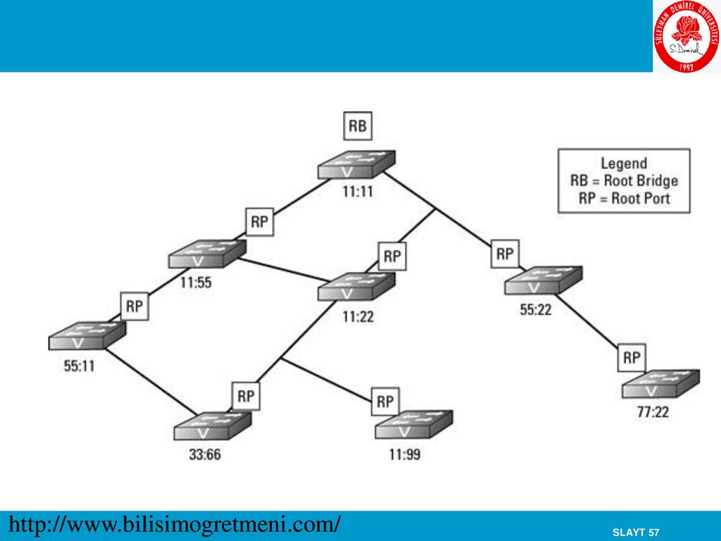 Span сети. RSTP протокол. Резервирование соединений с помощью протоколов семейства spanning Tree. Этапы алгоритма RSTP для сети. Широковещательный шторм.