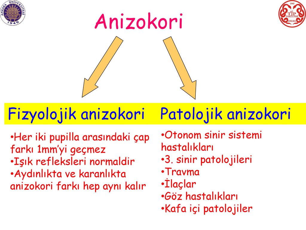 Anizokori Fizyolojik anizokori Patolojik anizokori