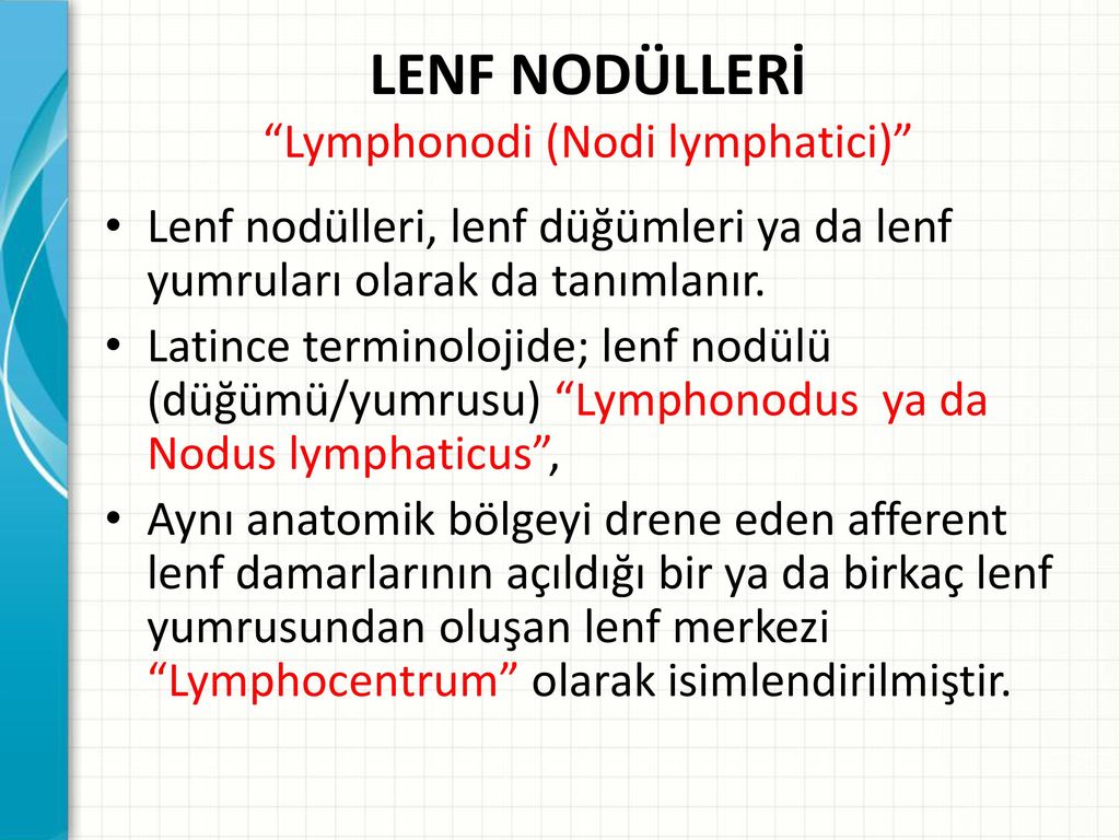 Lymphonodus