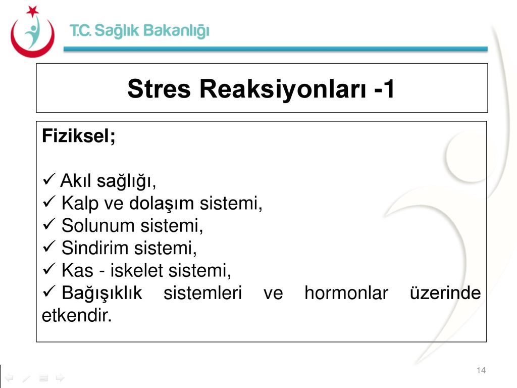 Stres Reaksiyonları -1 Fiziksel; Akıl sağlığı,