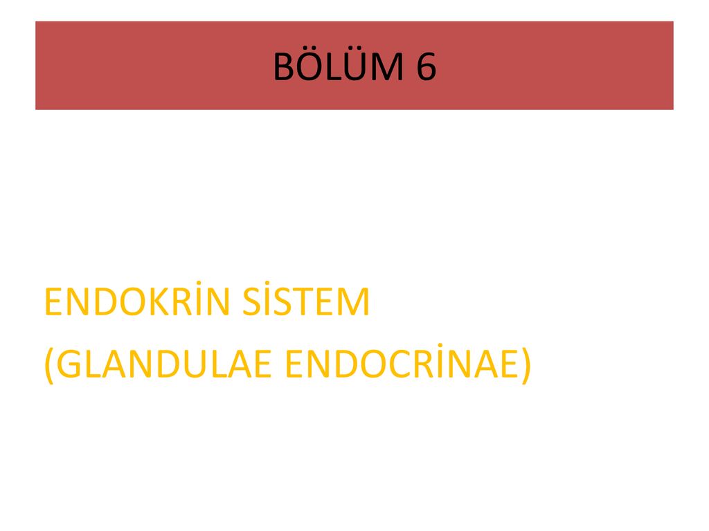 İNSAN ANATOMİSİ VE FİZYOLOJİSİ - Ppt Indir