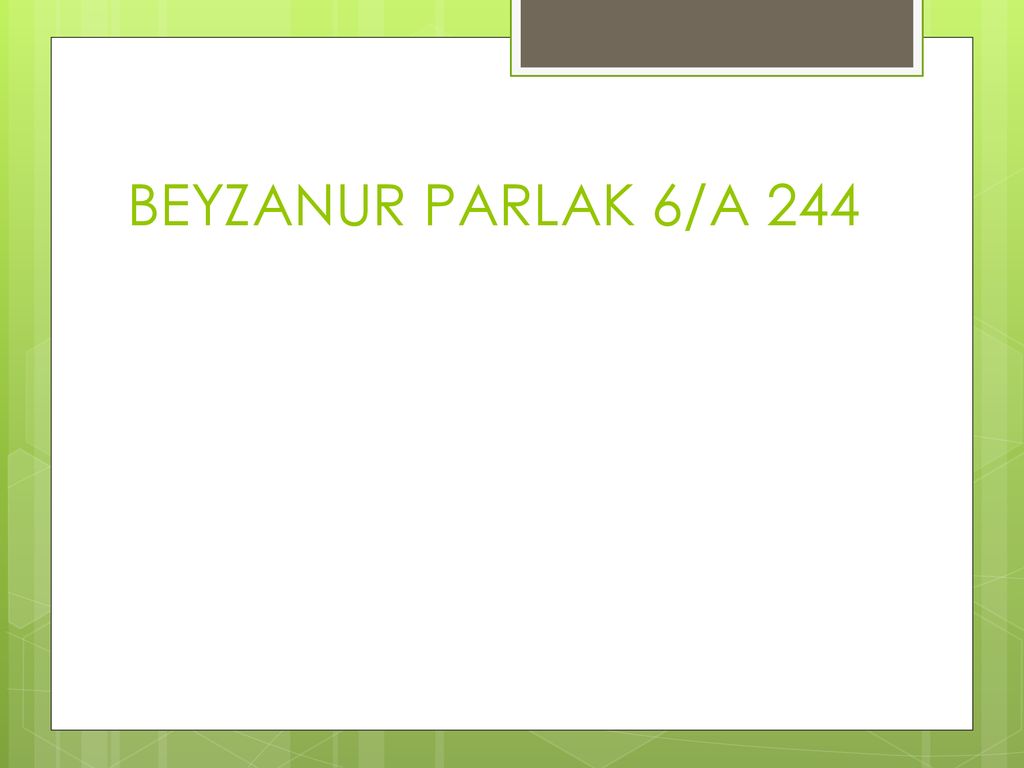 BEYZANUR PARLAK 6/A 244