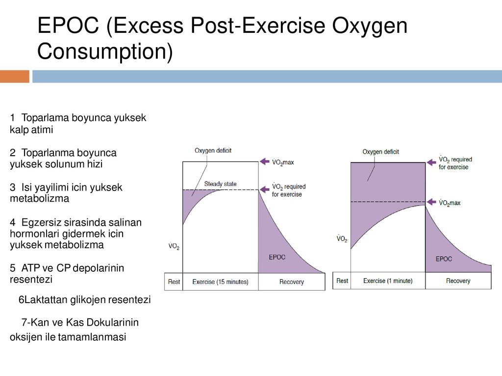 EPOC (Excess Post-Exercise Oxygen Consumption) .