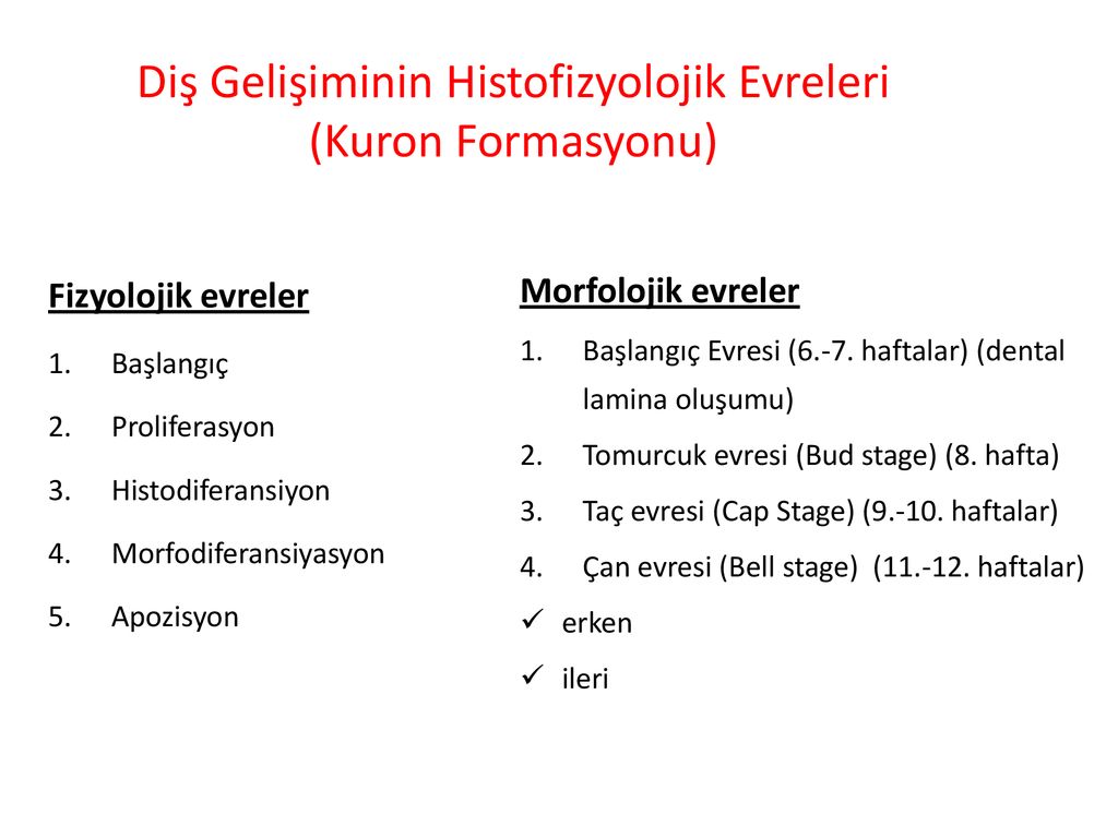 Periodontal Dokuların Embriyolojisi - ppt indir