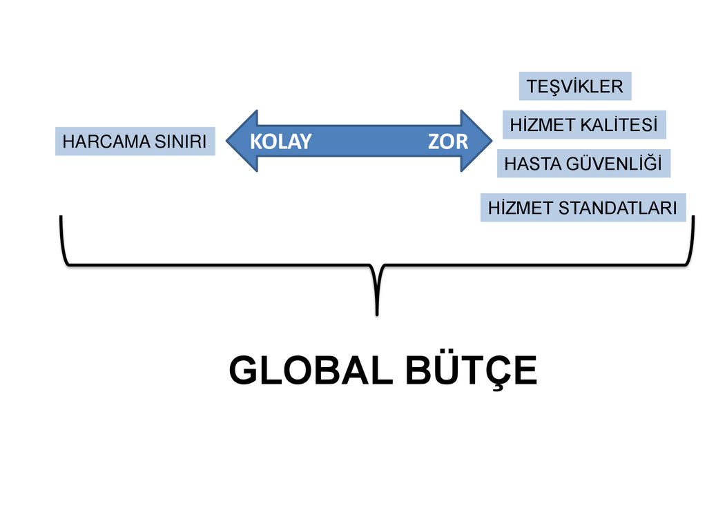 TÜRKİYE'DE HASTANELERE ÖDEME YÖNTEMLERİ “TİG” ÇALIŞMALARINDA GELİŞMELER ...