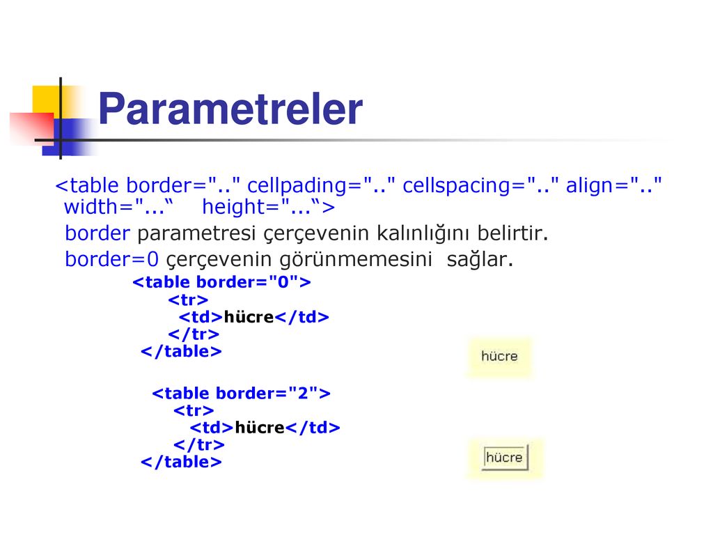 Html table border width