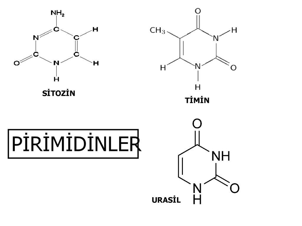 Тимин формула. Тимин структурная формула. Тимин строение. Тимин + CL. Тиминь структурная формула в химии.