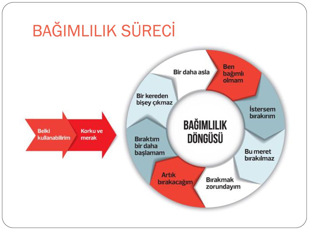 OKUL REHBERLİK SERVİSİ - Ppt Indir