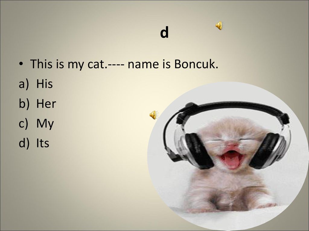 Cat s name is