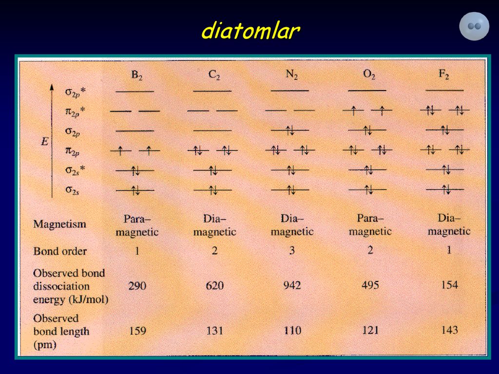 diatomlar