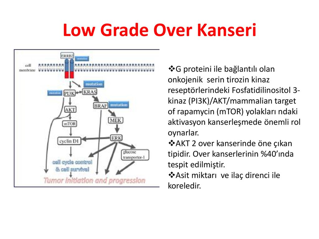 Grade перевод. Low Grade перевод на русский. Лоу грейд. Low Grade что это значит. Low Grade перевод на русский в медицине.