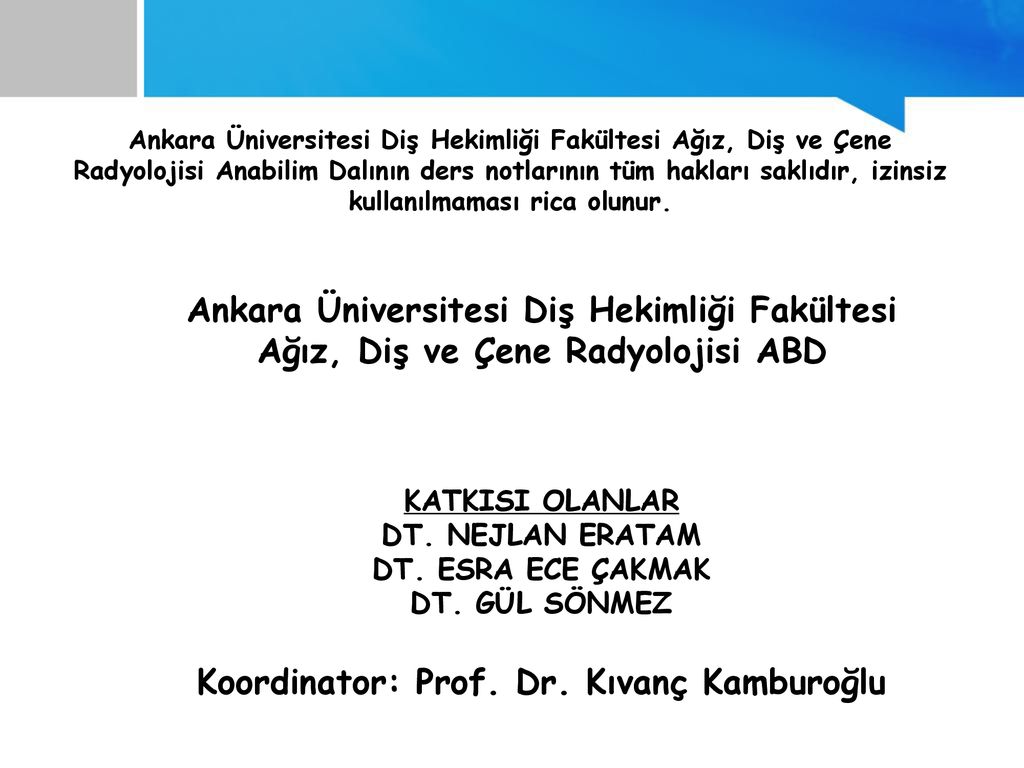 Koordinator: Prof. Dr. Kıvanç Kamburoğlu