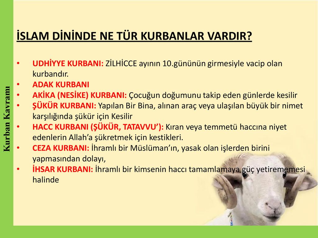 Kurban Ve Vekalet İdris YAVUZYİĞİT Çınarcık Müftüsü. - Ppt Indir