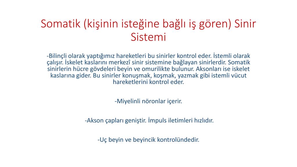 Sinir Sistemi Bolumleri Ppt Indir