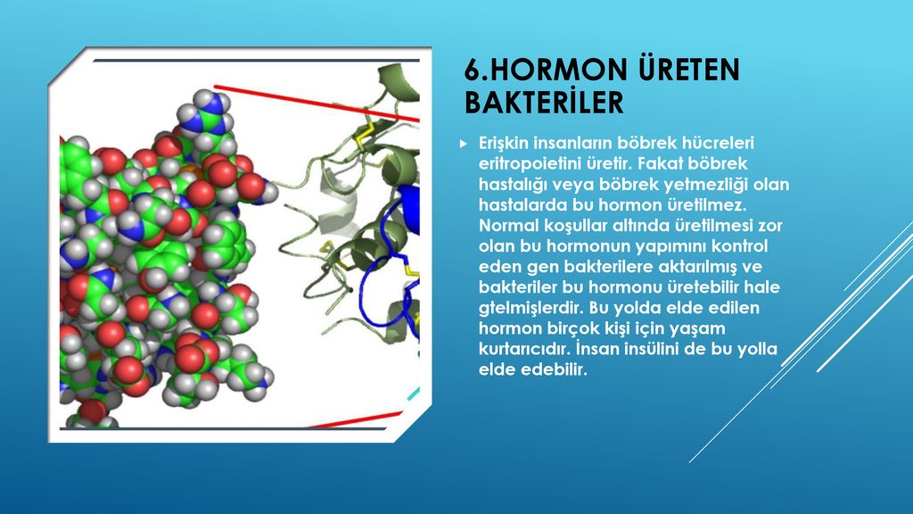 6.Hormon üreten bakteriler