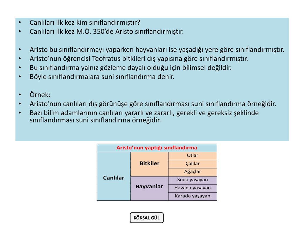 II. ÜNİTE: CANLILARIN SINIFLANDIRILMASI VE BİYOLOJİK ÇEŞİTLİLİK - Ppt Indir