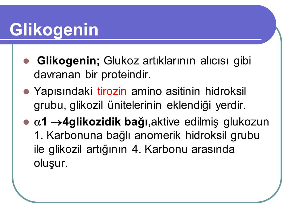 Glikogenin Glikogenin; Glukoz artıklarının alıcısı gibi davranan bir proteindir.
