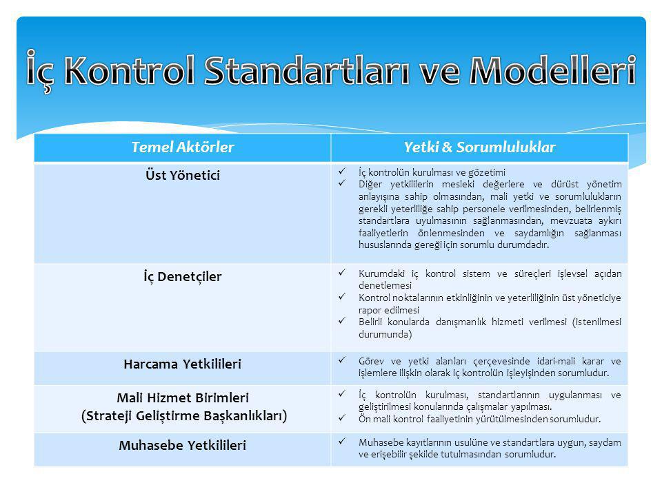 İç Kontrol Standartları ve Modelleri