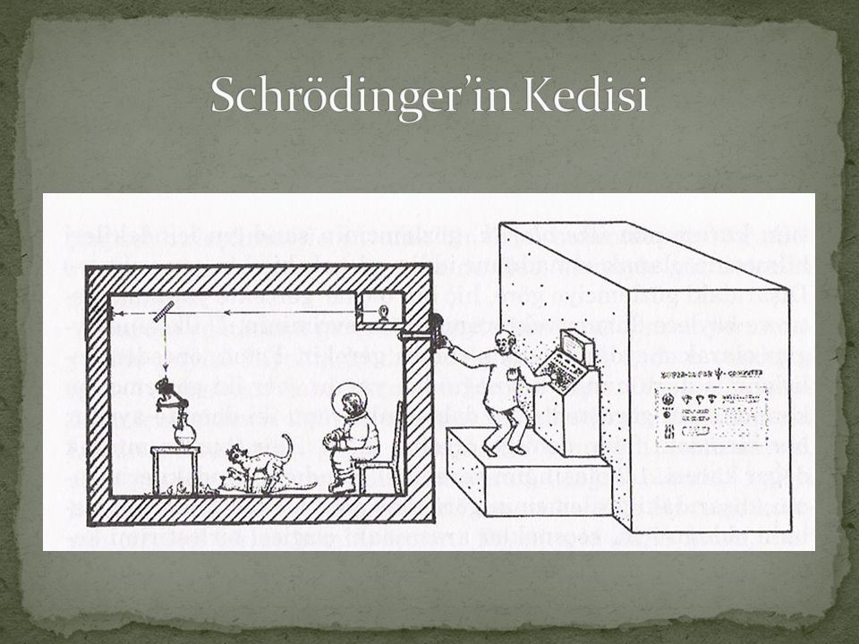Schrödinger’in Kedisi