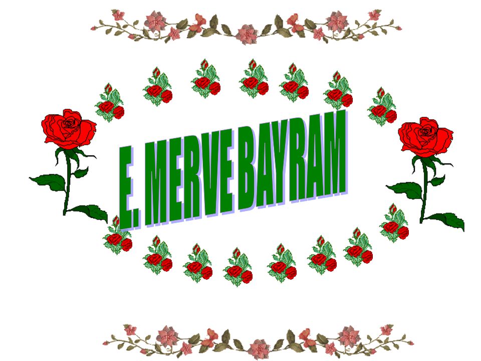 E. MERVE BAYRAM