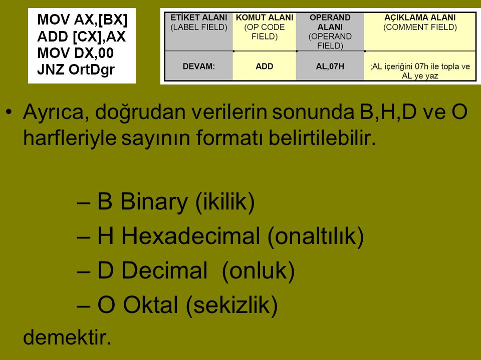 H Hexadecimal (onaltılık) D Decimal (onluk) O Oktal (sekizlik)