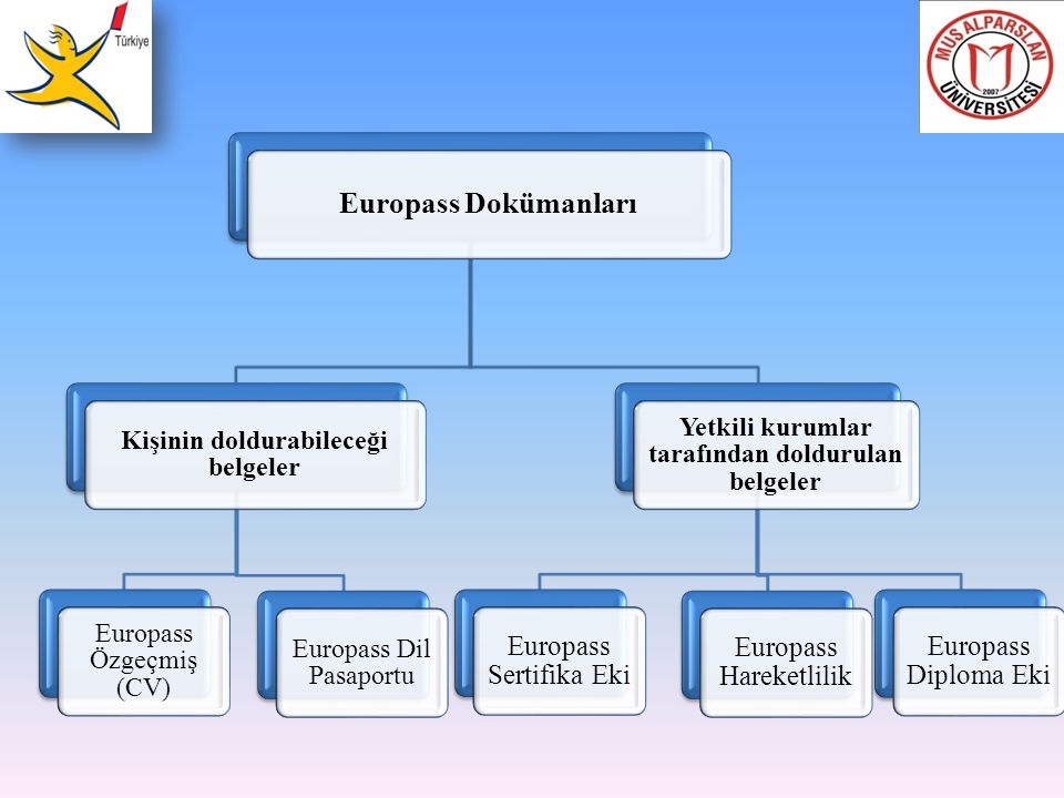 Europass Dokümanları Kişinin doldurabileceği belgeler