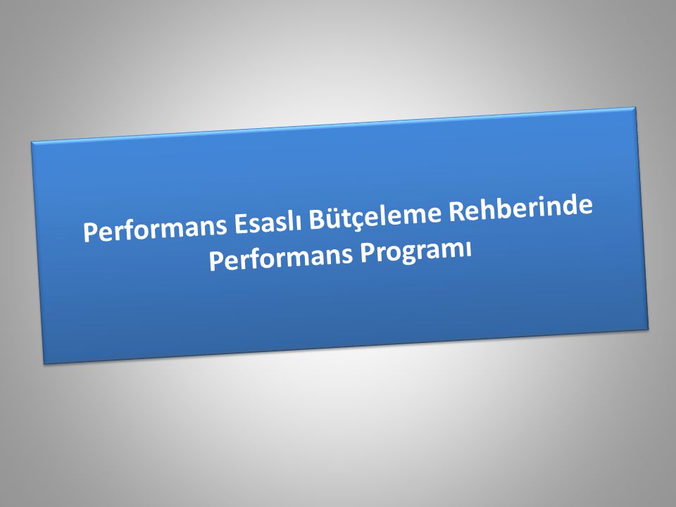 Performans Esaslı Bütçeleme Rehberinde Performans Programı