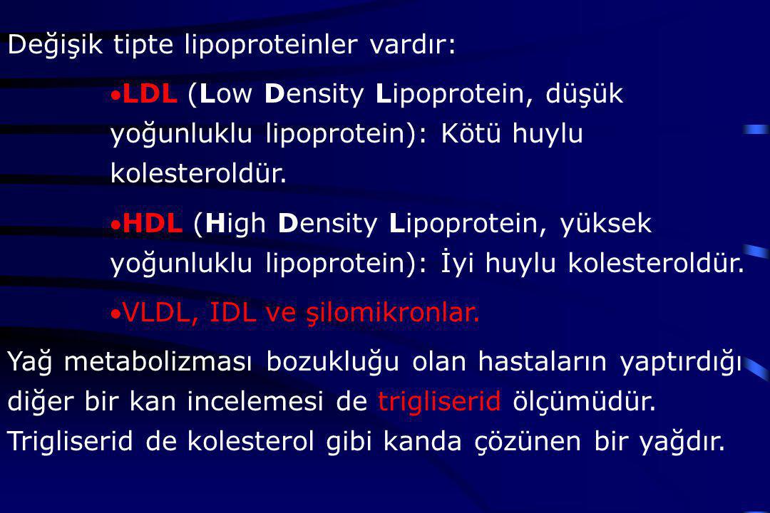 Değişik tipte lipoproteinler vardır: