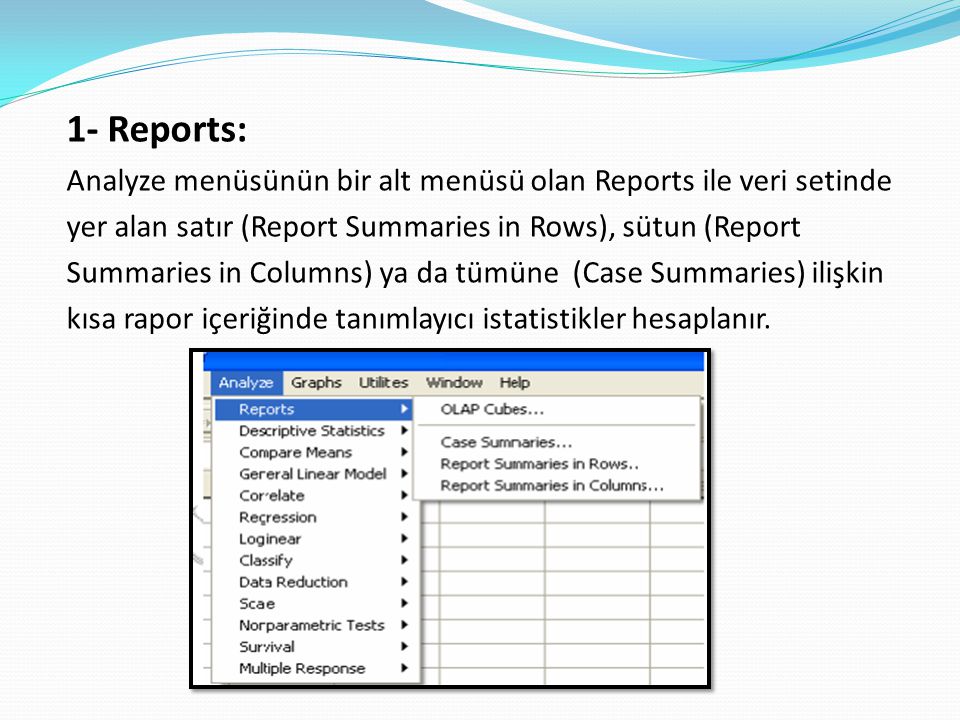 1- Reports: Analyze menüsünün bir alt menüsü olan Reports ile veri setinde. yer alan satır (Report Summaries in Rows), sütun (Report.