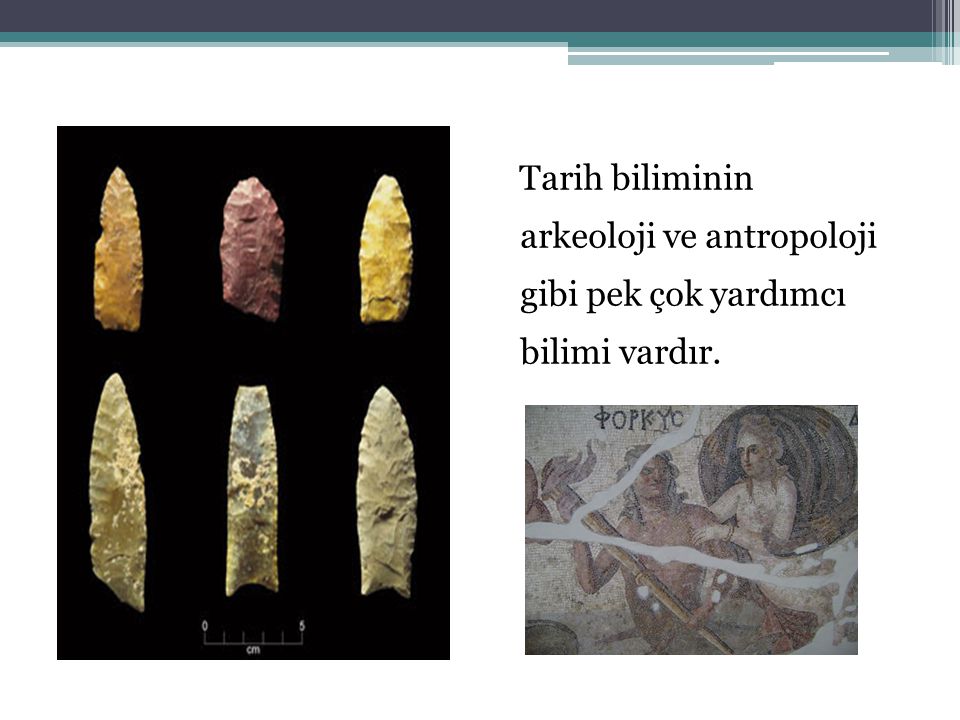 Tarih biliminin arkeoloji ve antropoloji gibi pek çok yardımcı bilimi vardır.