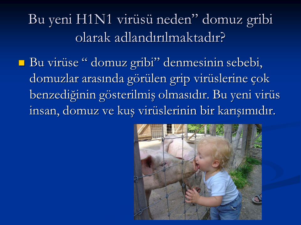 Bu yeni H1N1 virüsü neden domuz gribi olarak adlandırılmaktadır