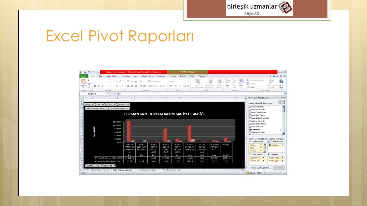 Excel Pivot Raporları