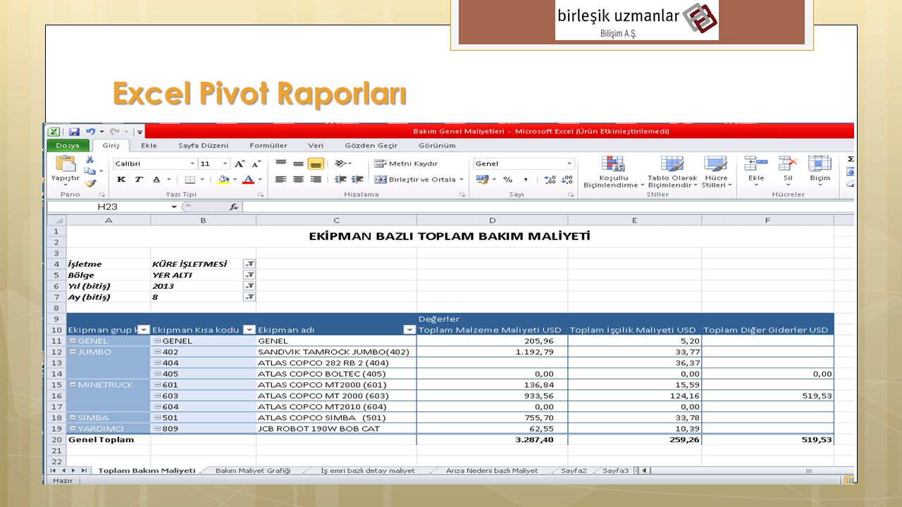 Excel Pivot Raporları