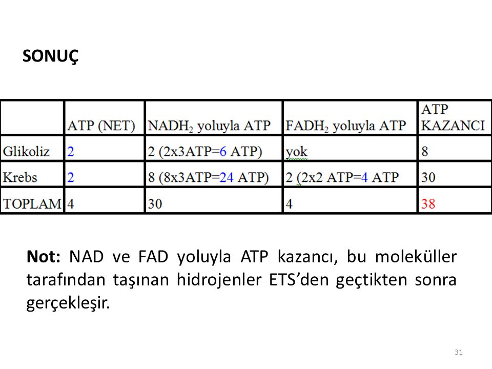 SONUÇ Not: NAD ve FAD yoluyla ATP kazancı, bu moleküller tarafından taşınan hidrojenler ETS’den geçtikten sonra gerçekleşir.